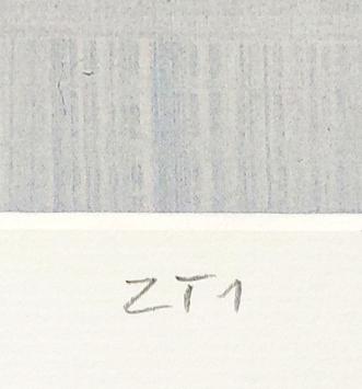 Man met knapzak ZT1 C20/150