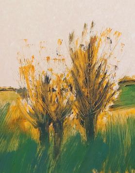 De Belgische schilder Walter Theunynck, W. Teunink