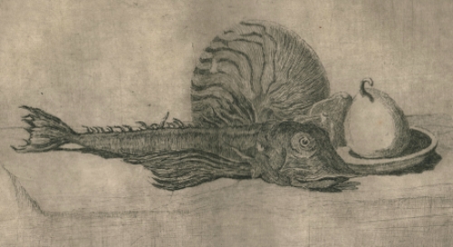 Walter Vaes met een ets, Stilleven met vis en fruit