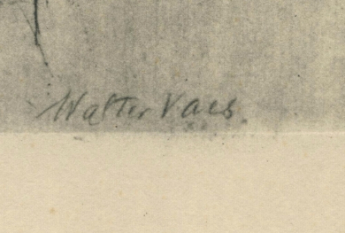 Belgische kunstenaar Walter Vaes