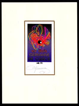 Belgische kunstenaar Willy Braspennincx