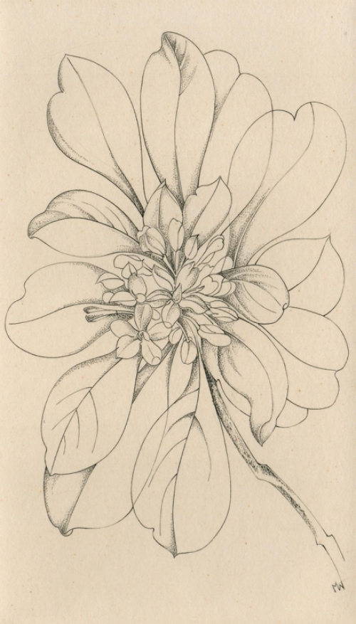 Margot Weemaes met een gravure, épreuve d\'artiste