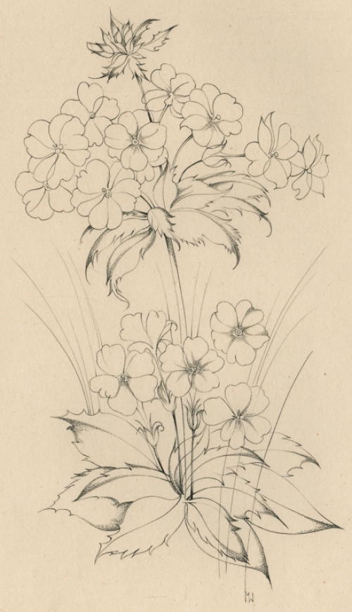 Margot Weemaes met een gravure, épreuve d\'artiste