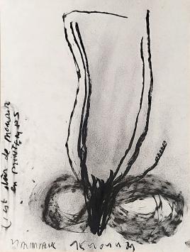 De hedendaagse kunstenaar Werner Mannaers met een groot kunstwerk