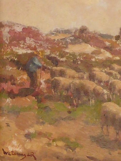 Schapen en schaapsherder