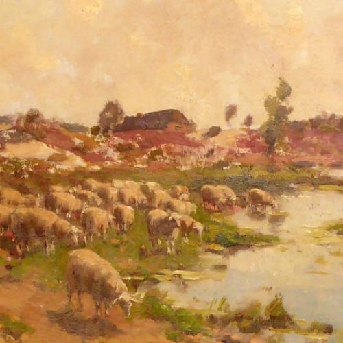 Schapen en schaapsherder