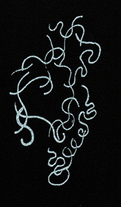 Wie man singt so lebt man