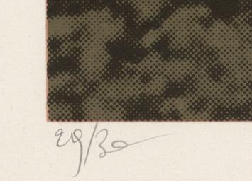 Belgische graficus Wilfried Pas