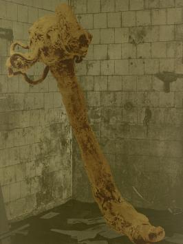 Grafisch kunstwerk van Wilfried Pas