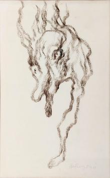 Kunstwerk van Wilfried Pas