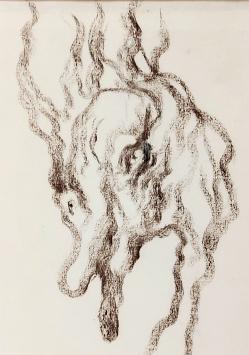 Belgische tekenaar Wilfried Pas