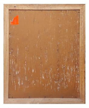 De vrouw met het witte stijl haar