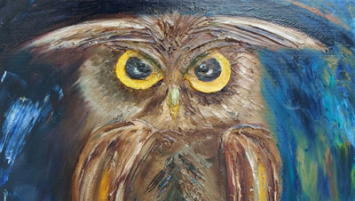 De Uil van Willy Van Meirvenne