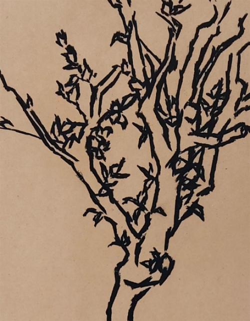 Wim Noordhoek met een tekening