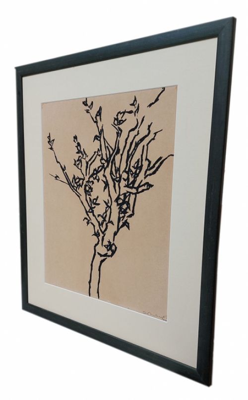 Arbre fruitier au printemps 1949