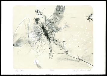 Litho van Wim Van Remortel uit 1993