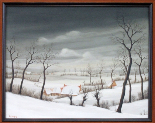 Belgische kunstenaar Piet Willequet