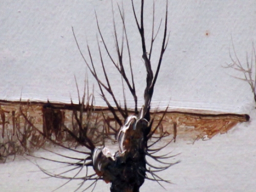 Landschapszicht van Piet Willequet