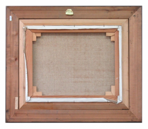 Groot wit winterlandschap