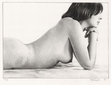 kunstwerk van de  Belgische kunstenaar Roger Wittevrongel