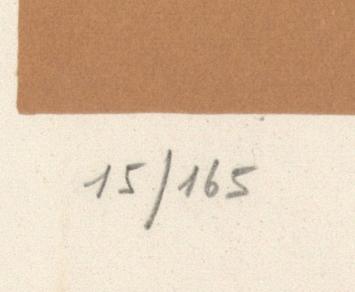 Het zicht van de schilder 15/165