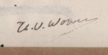 Boerenpaard of Brabants trekpaard