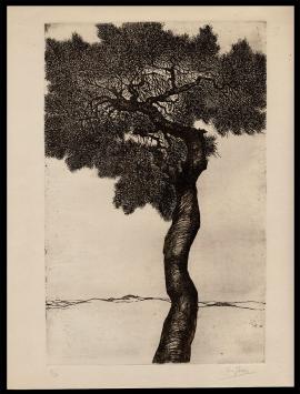 Belgische kunstenaar Eugeen Yoors met een ets