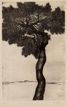 Belgische etser Eugeen Yoors, genummerde ets