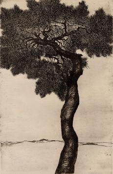 Ets van Eugeen Yoors kopen