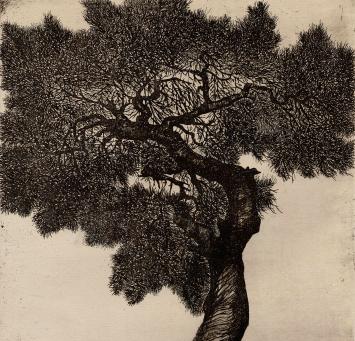 Gesigneerde ets van Eugeen Yoors