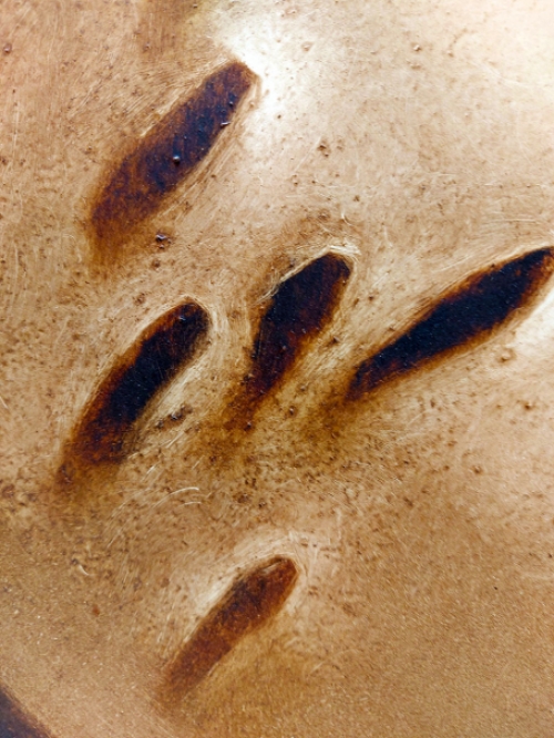 Schilderij van Yves Rhayé kopen