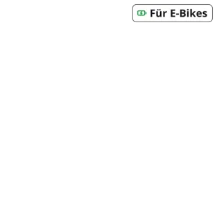 Cyclotech label de ebike v5